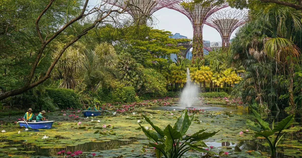 Jardinería para principiantes: cómo empezar tu propio jardín